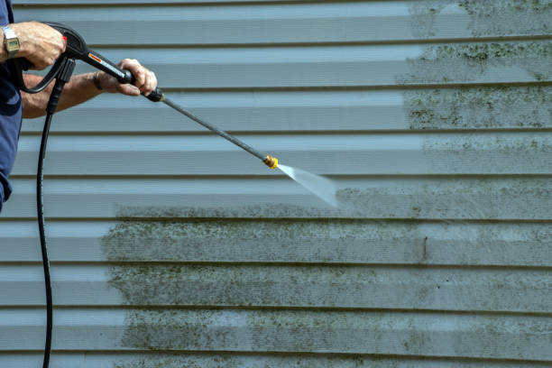 Best Solar Panel Cleaning  in Opa Locka, FL